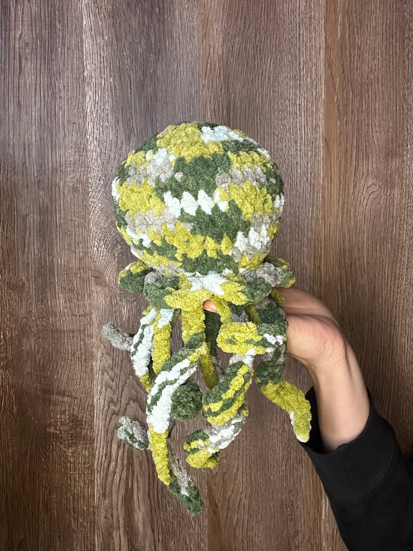 Jellyfish