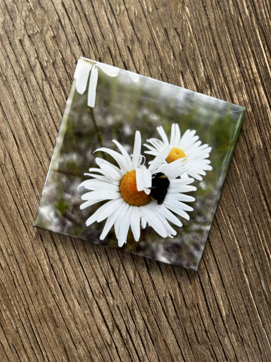 Custom Magnet (Set of 1)